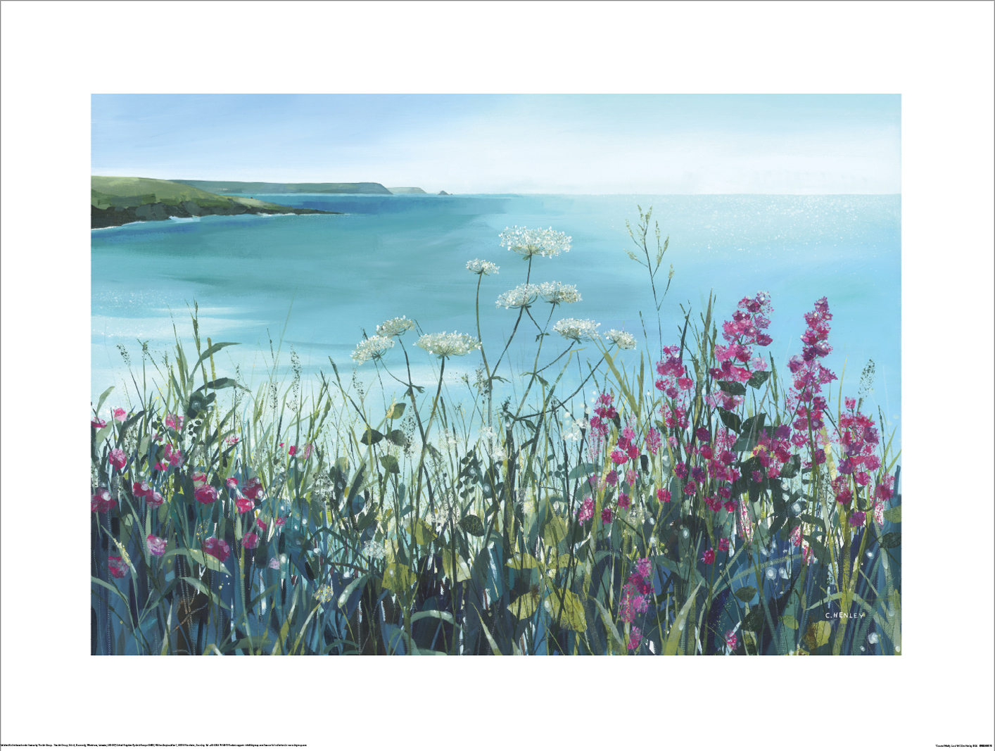 Claire Henley (Coastal Walk, June) Art Prints