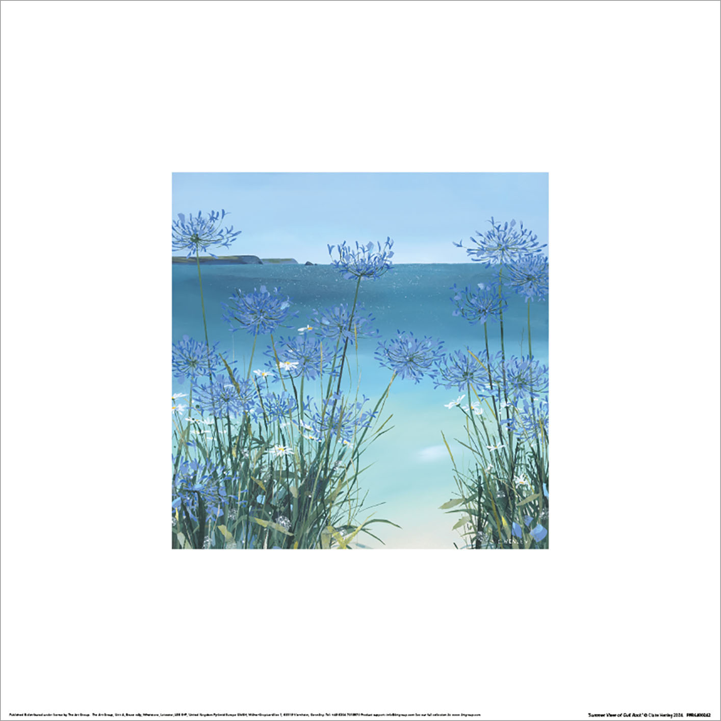 Claire Henley (Summer View Of Gull Rock) Art Prints