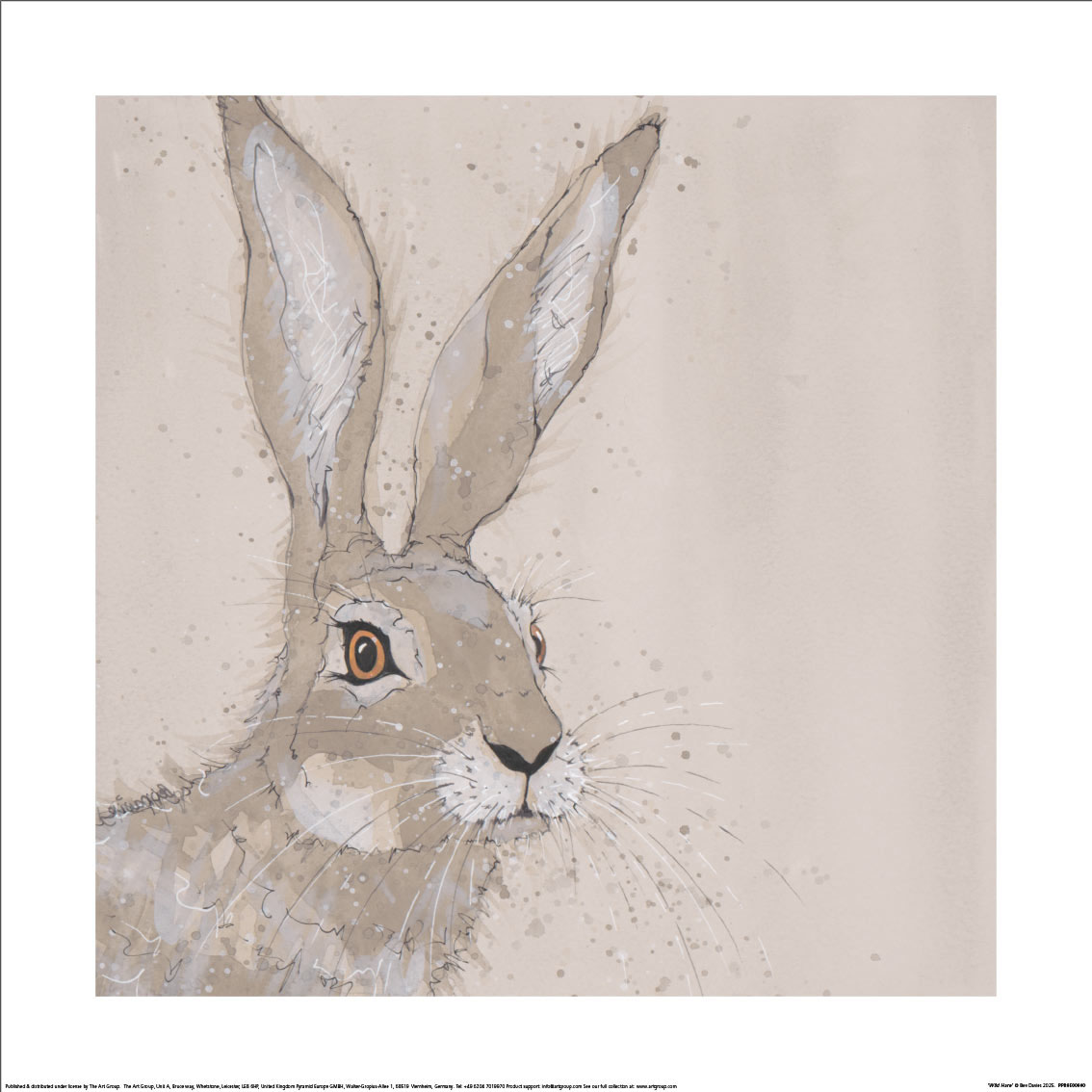 Bev Davies (Wild Hare) Art Print