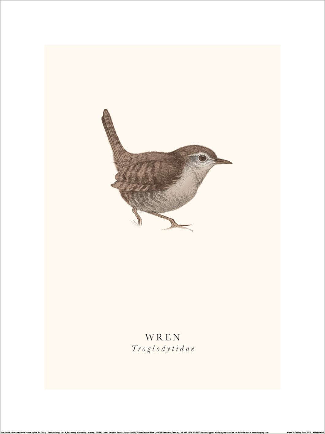 Tall Boy Prints (Wren) Art Print | The Art Group
