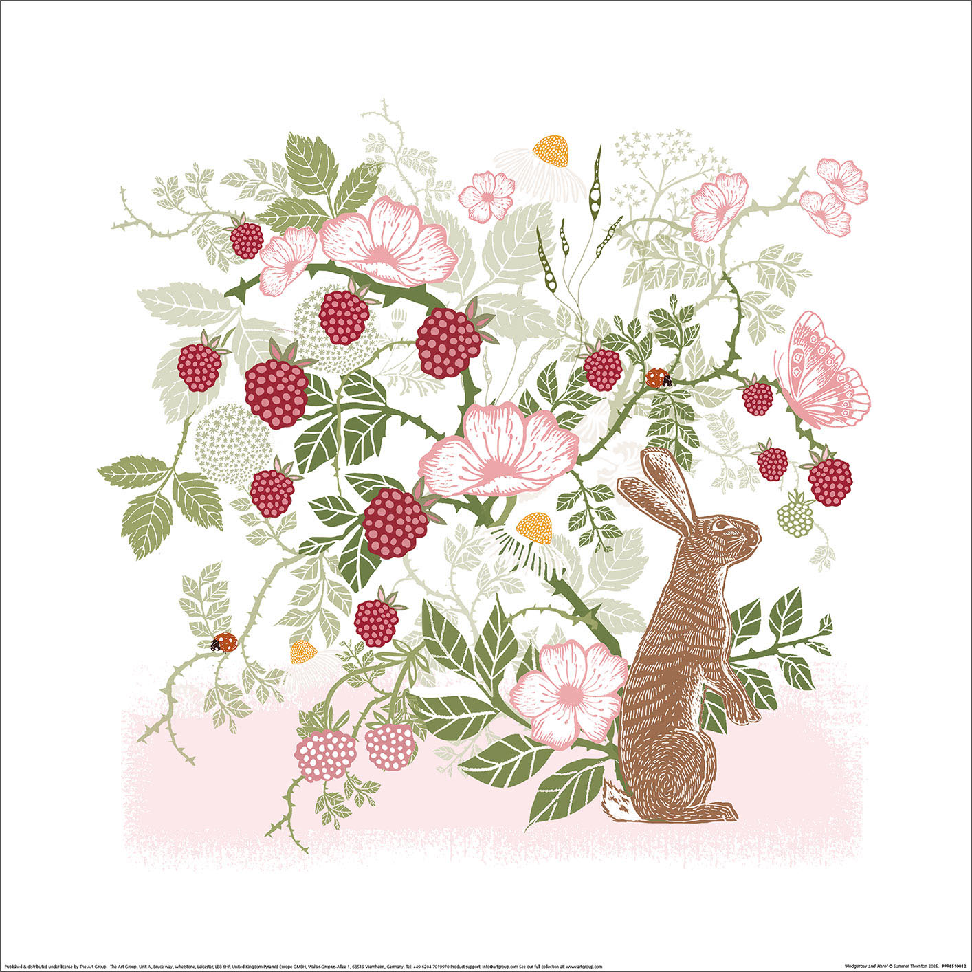 Summer Thornton (Hedgerow and Hare) Art Print | The Art Group
