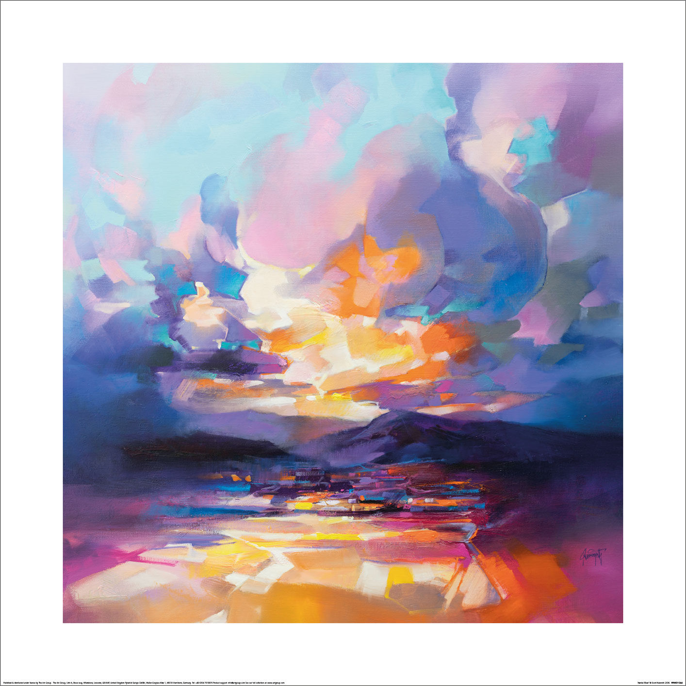 Scott Naismith (Aerial Flow) Art Print