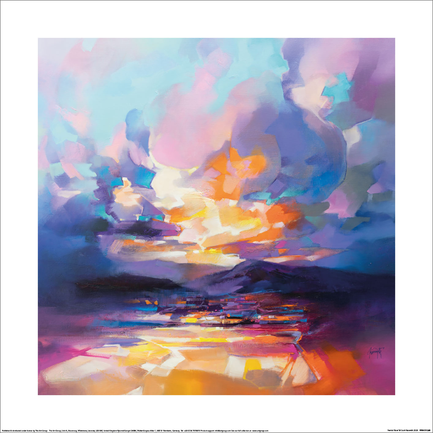 Scott Naismith (Aerial Flow) Art Prints