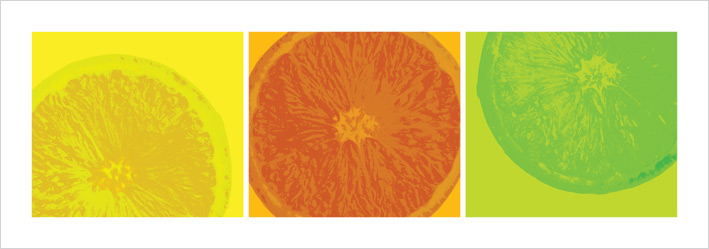 Citrus Art Print