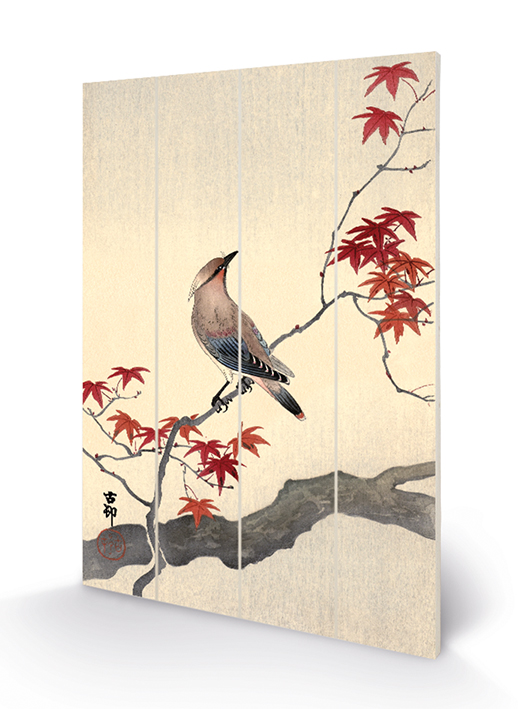 Ohara Koson (Japanese Waxwing on Maple) Wood Prints