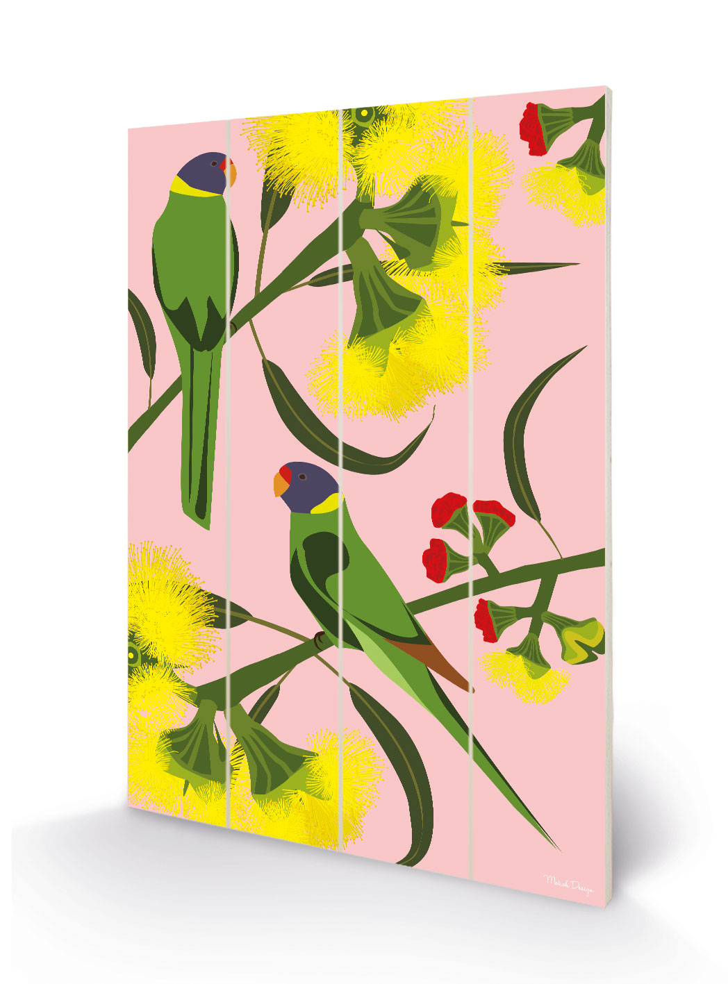 Mokoh (Ringnecks) Wood Prints