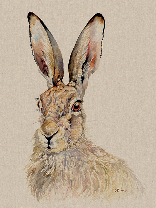 Jane Bannon (Tilly) Canvas Print
