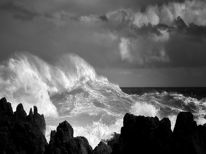 Dennis Frates (Oceans Rage) Canvas Print