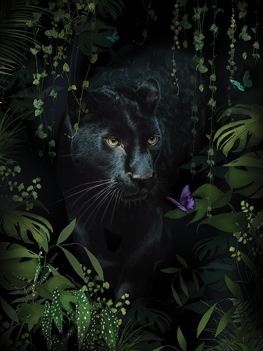 Summer Thornton (Panther) Canvas Print