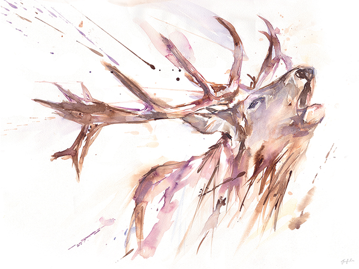 Jennifer Rose (Roar) Canvas Prints