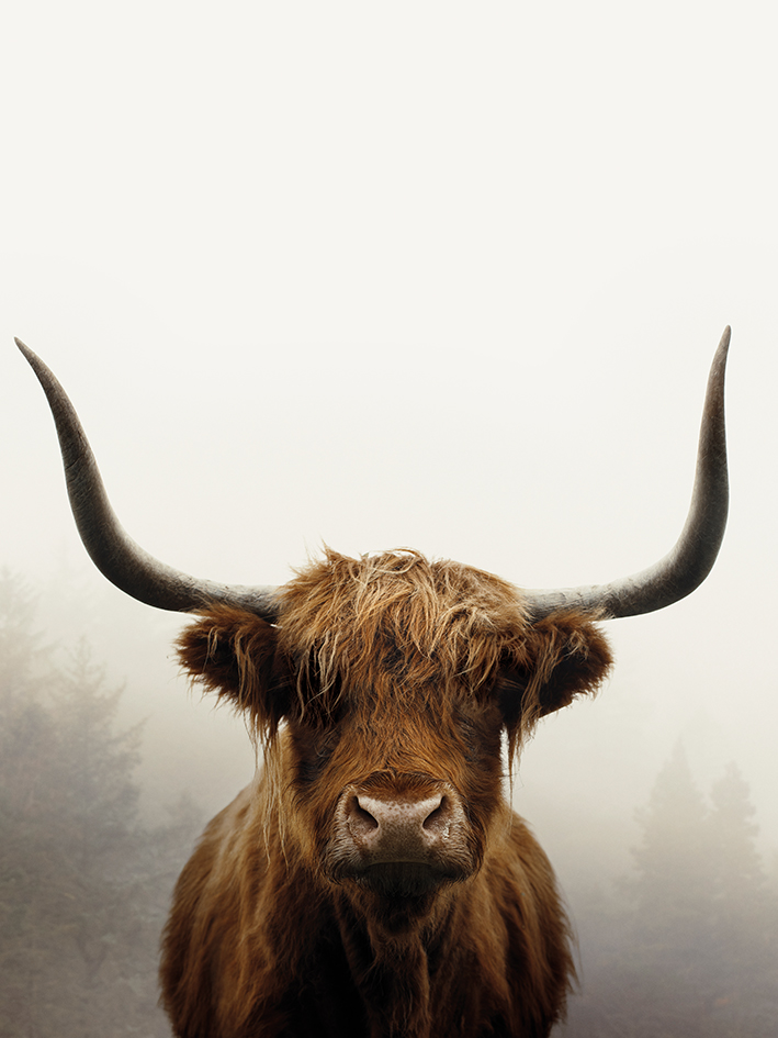 Ian Winstanley (Douglas) Canvas Print