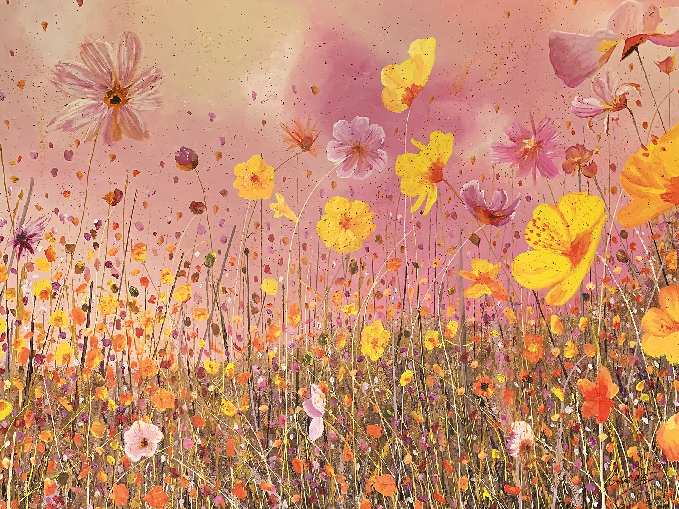 Siobhan McEvoy (Cosmos Flower Meadow) Canvas Prints