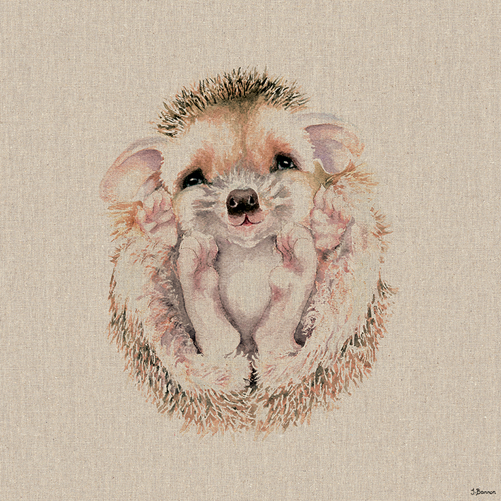 Jane Bannon (Maddy) Canvas Prints