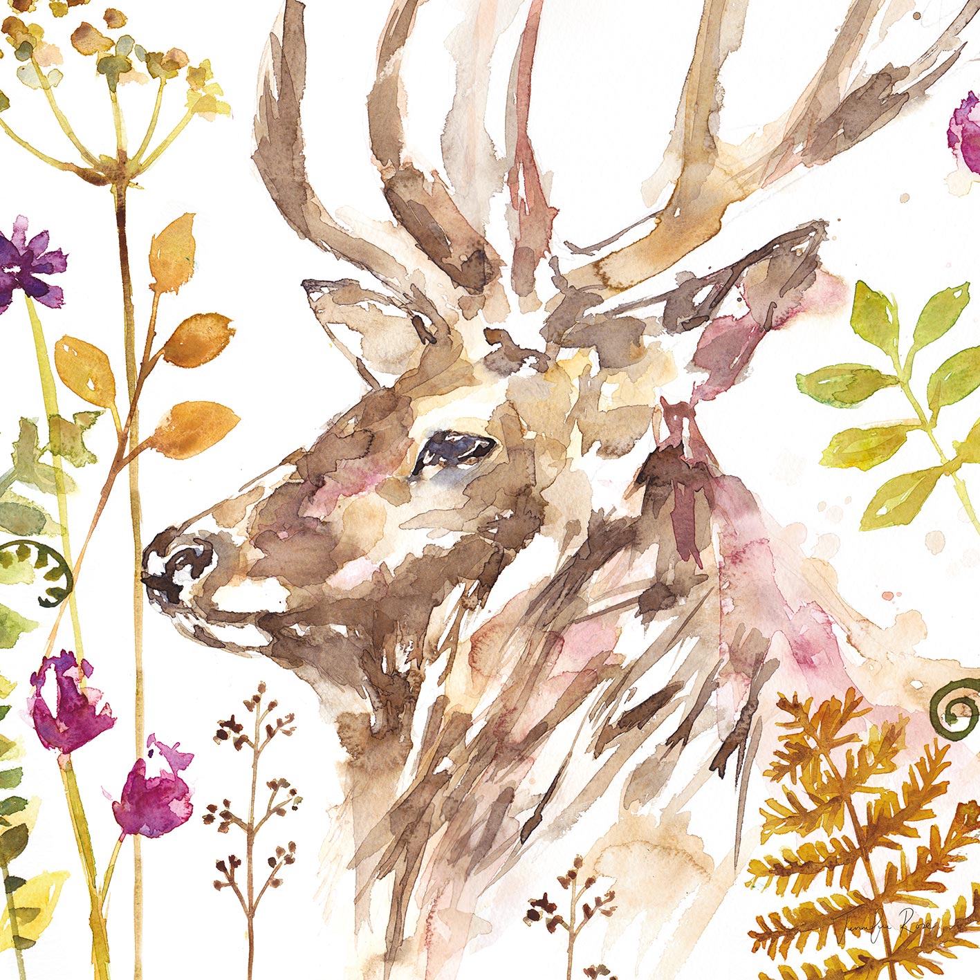 Jennifer Rose (Stag) Canvas Prints