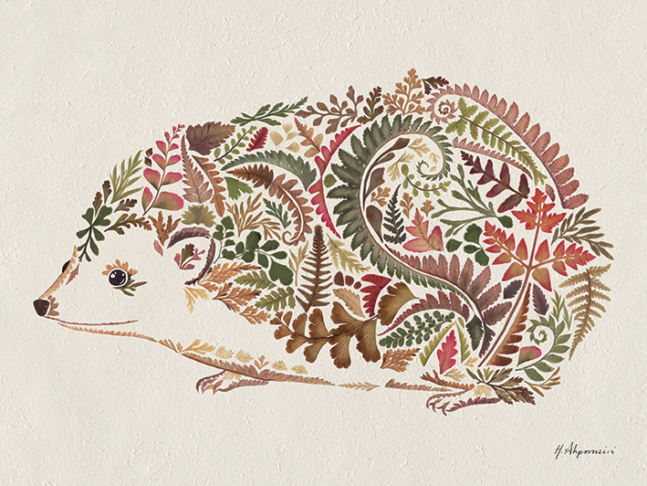 Helen Ahpornsiri (Happy Hedgehog) Canvas Prints