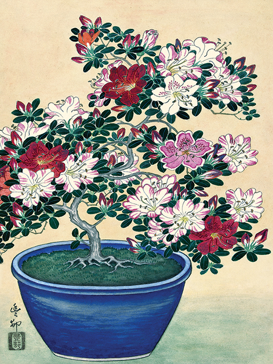 Ohara Koson (Blooming Azalea in Blue Pot) Canvas Print