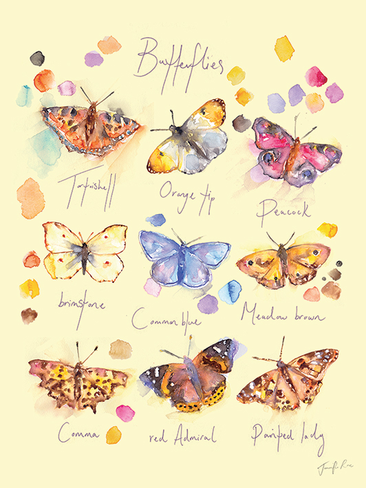 Jennifer Rose Butterflies Canvas Print The Art Group
