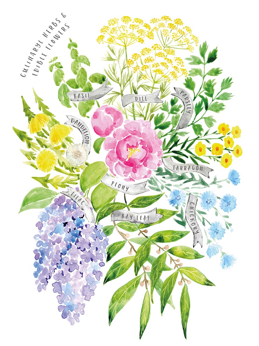 Rosana Laiz (Culinary Herbs & Edible Flowers Watercolour Bouquet) Canvas Print