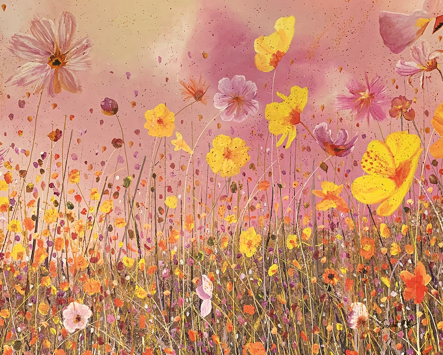 Siobhan McEvoy (Cosmos Flower Meadow) Canvas Prints
