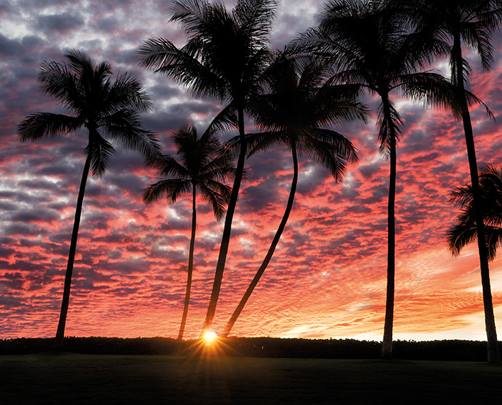 Dennis Frates (Hawaiian Sunset) Canvas Prints