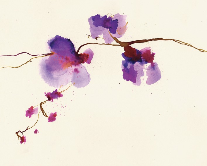 Summer Thornton (Velvet Orchid) Canvas Prints