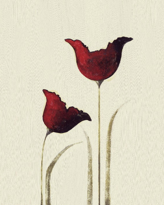 Nicola Evans (Tulips I) Canvas Print