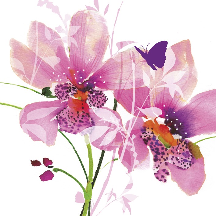 Summer Thornton (Orchid Blush) Canvas Prints