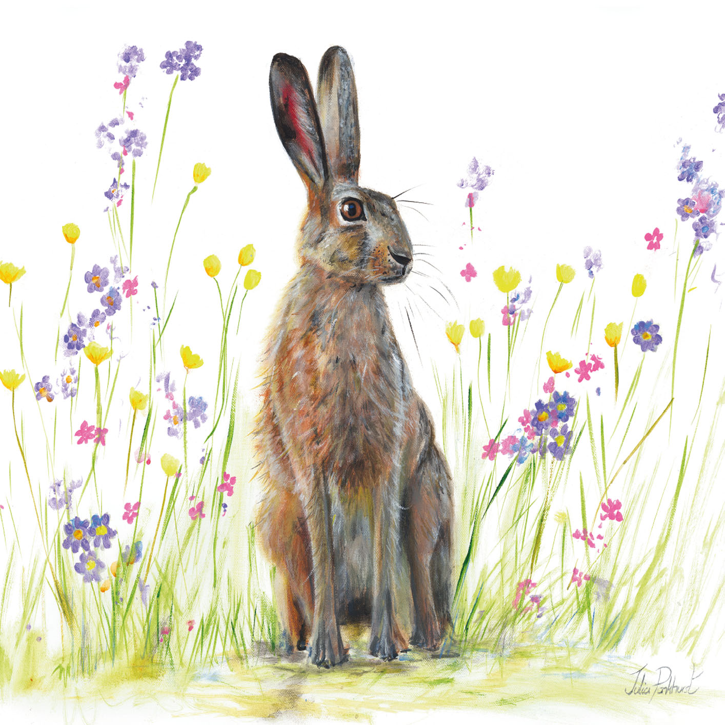 Julia Pankhurst (Florry) Canvas Prints