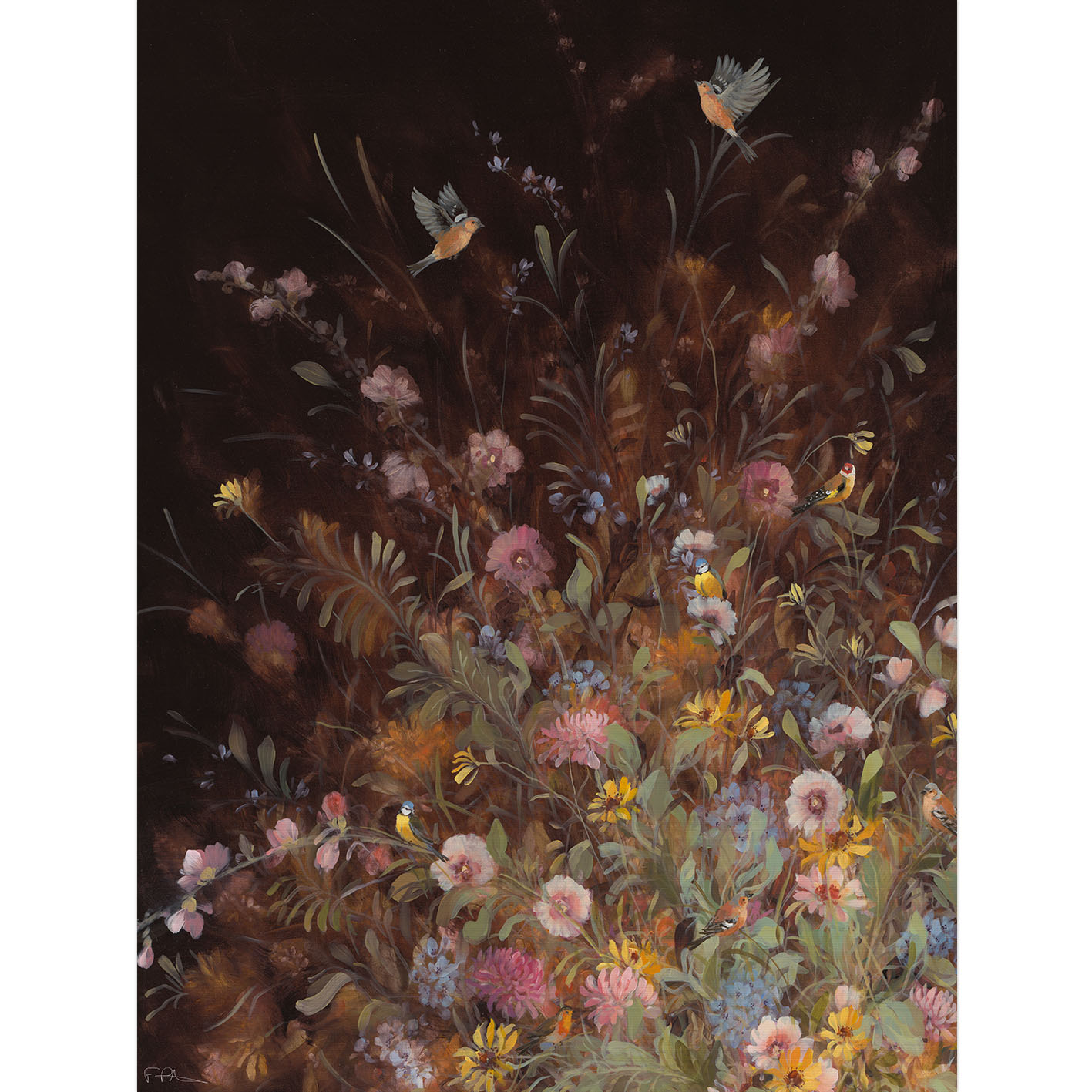 Fletcher Prentice (Hollyhock Chaffinches) Canvas Print