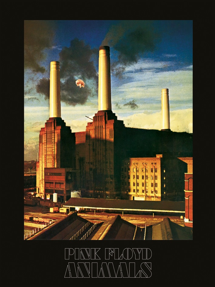 Pink Floyd (Animals) Canvas Print