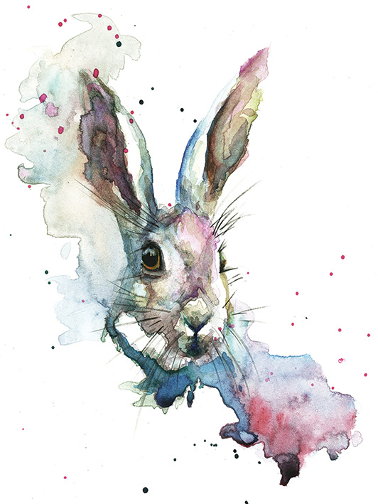 Sarah Stokes (March Hare) Canvas Print