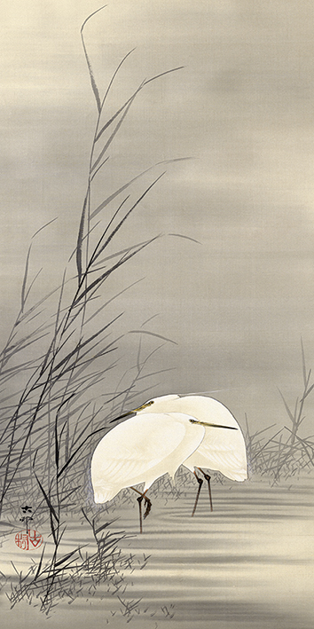Ohara Koson (Egrets in a Swamp) Canvas Prints