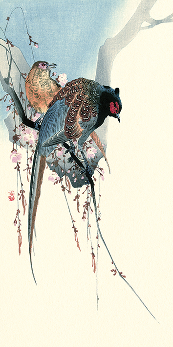 Ohara Koson (Pheasants) Canvas Prints