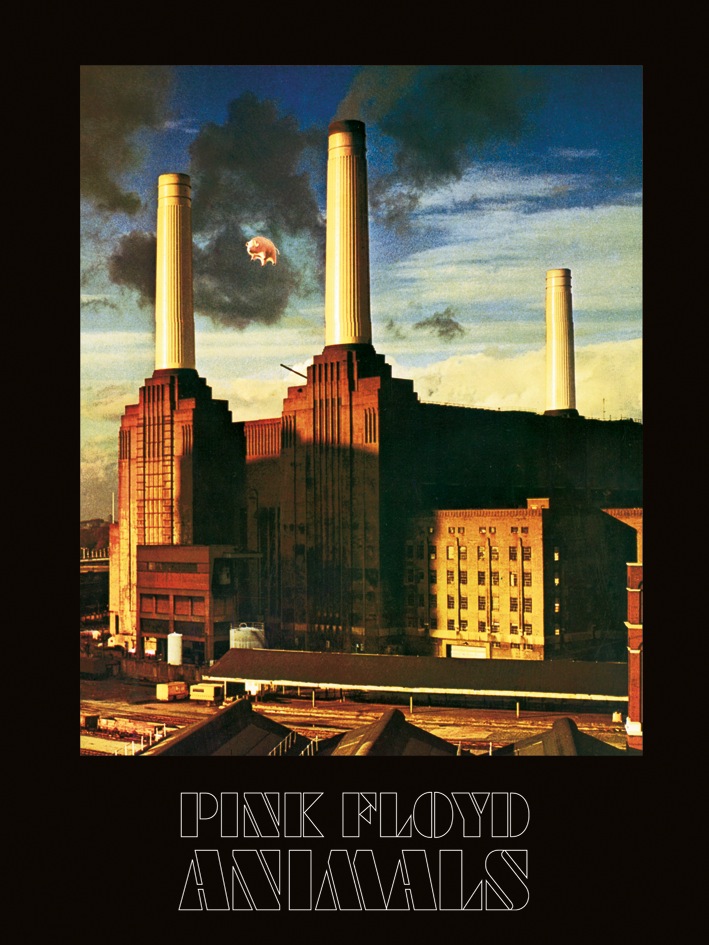 Pink Floyd (Animals) Canvas Print