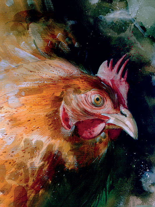 Simon Howden (Brown Chicken) Canvas Print