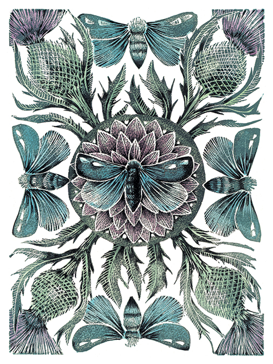 Amanda Colville (Moths & Thistles) Canvas Print