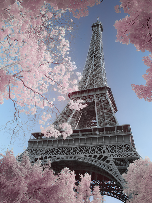 David Clapp (Eiffel Tower Infrared, Paris) Canvas Prints