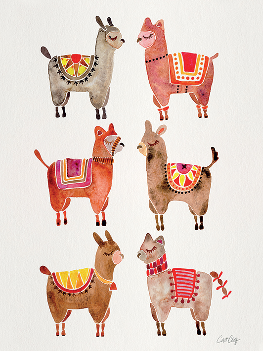 Cat Coquillette (Alpacas) Canvas Prints