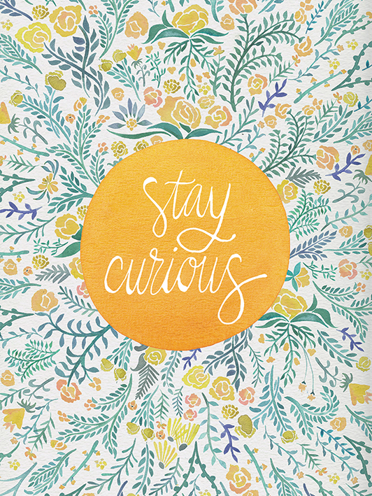 Cat Coquillette (Stay Curious) Canvas Prints