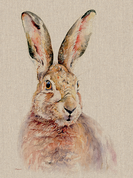 Jane Bannon (Pippa) Canvas Print