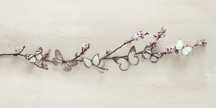 Ian Winstanley (Butterflies on Blossom) Canvas Print