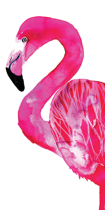 Sofie Rolfsdotter (Flamingo) Canvas Print