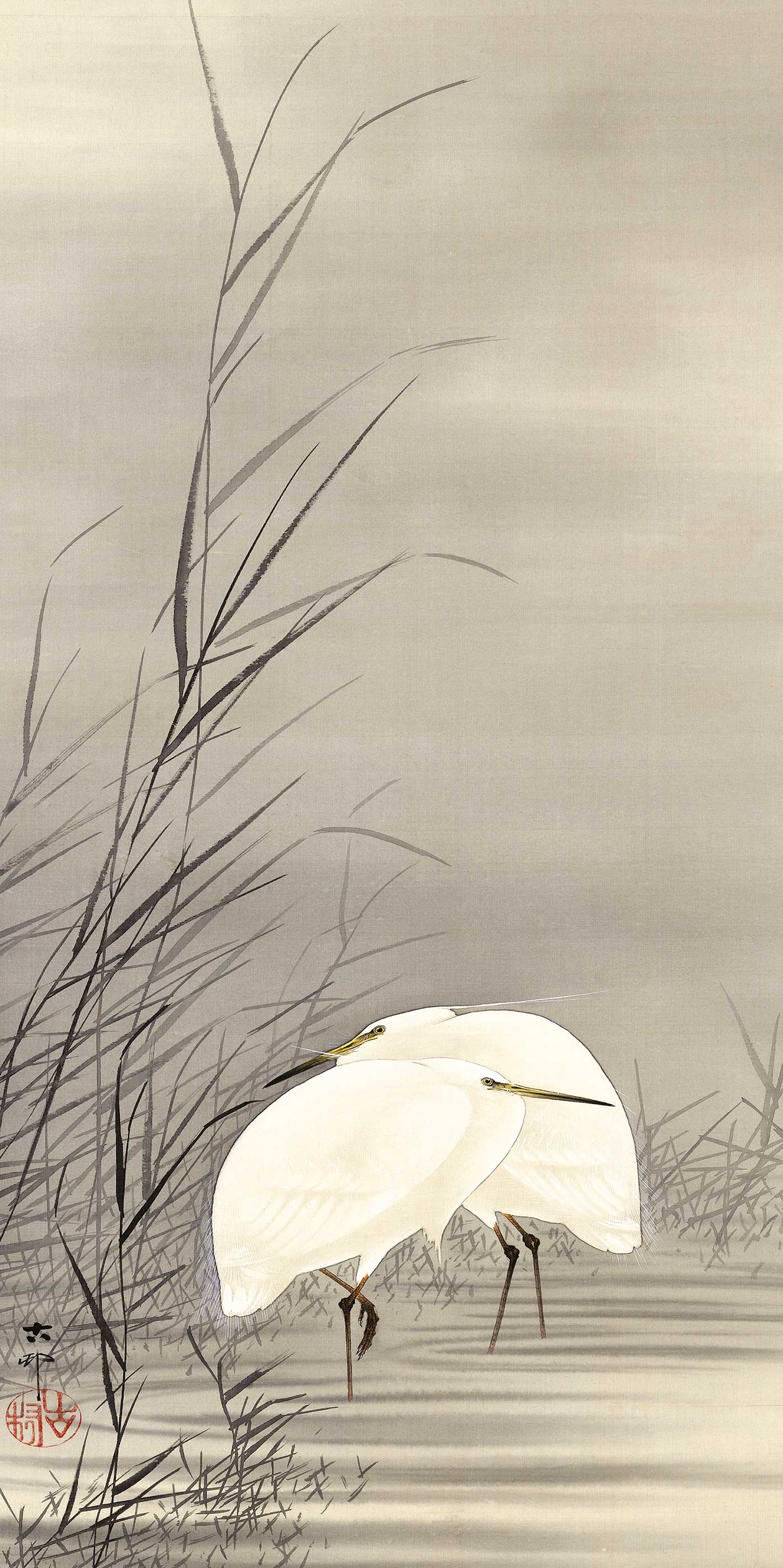 Ohara Koson (Egrets in a Swamp) Canvas Print