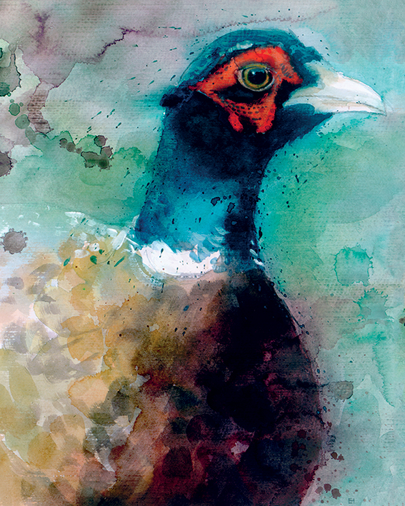 Simon Howden (Male Pheasant) Canvas Prints