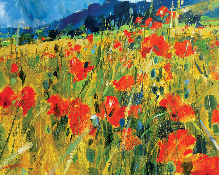 Chris Forsey (South Downs Poppies) Canvas Print