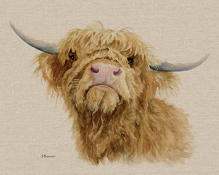 Jane Bannon (Donald) Canvas Print