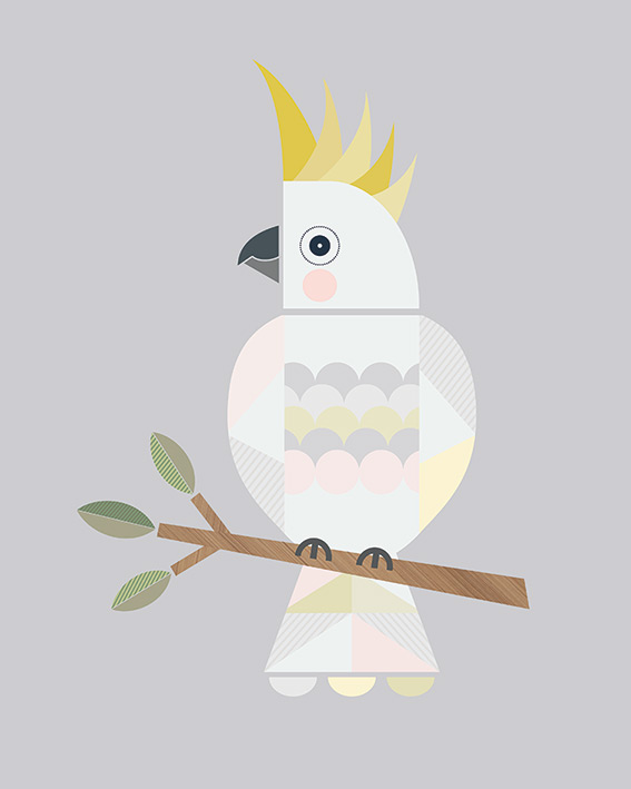Little Design Haus (Cockatoo) Canvas Prints