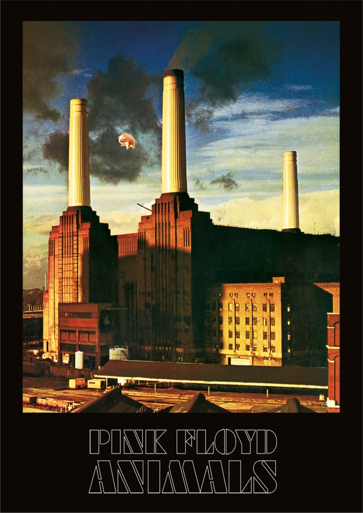Pink Floyd Animals Album Cover