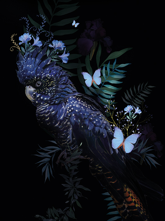 Summer Thornton (Cockatoo) Canvas Print | The Art Group