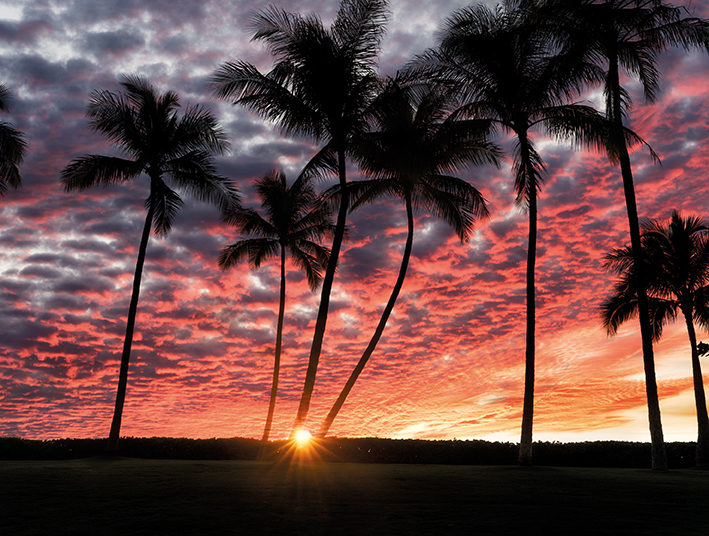 Dennis Frates (Hawaiian Sunset) Canvas Prints